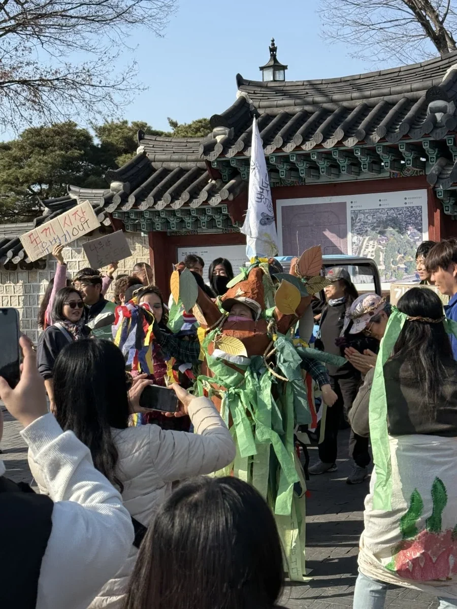 나무로 태어나 나무로 죽는 일