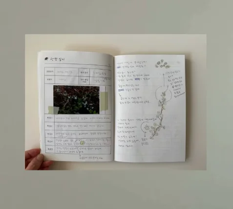 관찰일지